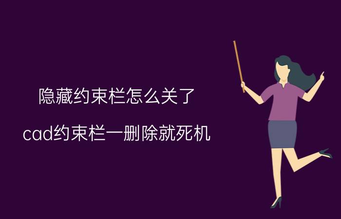 隐藏约束栏怎么关了 cad约束栏一删除就死机？